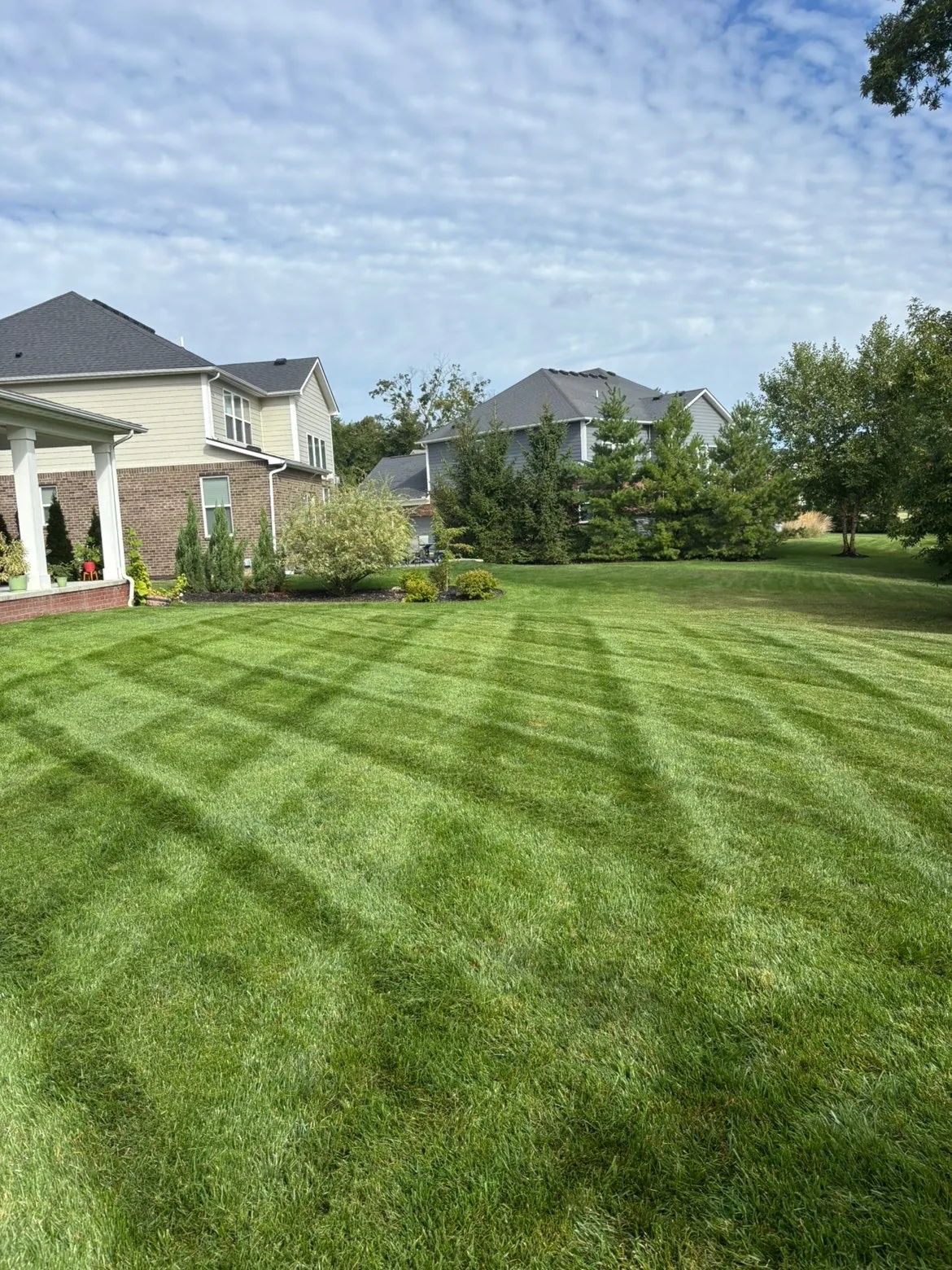 Freshly cut residential lawn with clean stripes